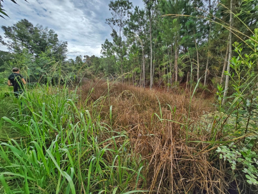 Commercial Property for Sale in Wilderness Heights Western Cape